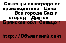 Саженцы винограда от производителя › Цена ­ 800 - Все города Сад и огород » Другое   . Брянская обл.,Сельцо г.